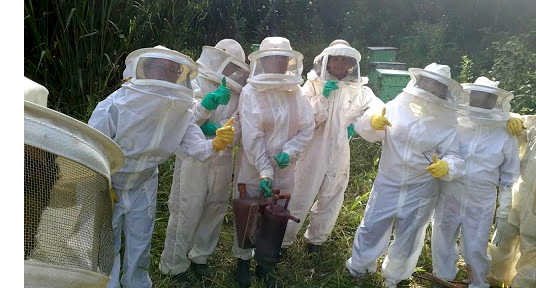 mulheres vestidas de traje de apicultura